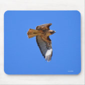 Flying Juvenile Red-Tail Hawk Wildlife Mousepad (Vorne)