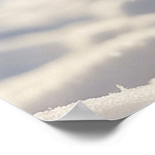 *~* Flying Kitty 5:4 Kitten Cat AP68 Poster (Ecke)