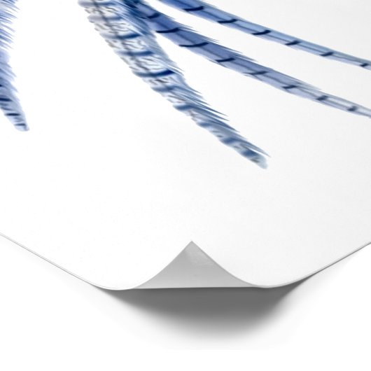 Flying Lady Amherst Pheasant Print Poster (Ecke)