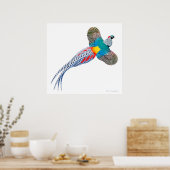 Flying Lady Amherst Pheasant Print Poster (Küche)