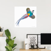 Flying Lady Amherst Pheasant Print Poster (Heimbüro)
