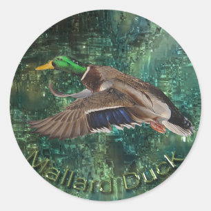 Flying Male Mallard Duck (Drake) Wildlife Sticker