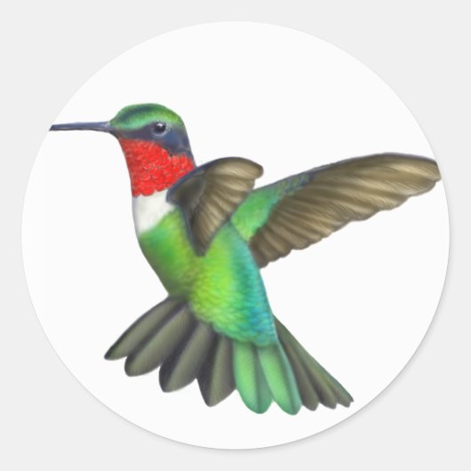 Flying Male Ruby Throated Hummingbird Sticker (Vorderseite)