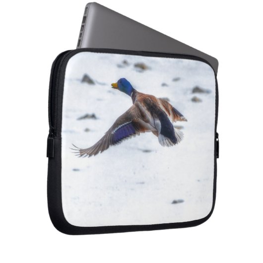 Flying Mallard Duck Drake 15 Wildlife Foto Laptopschutzhülle (Vorne Rechts)