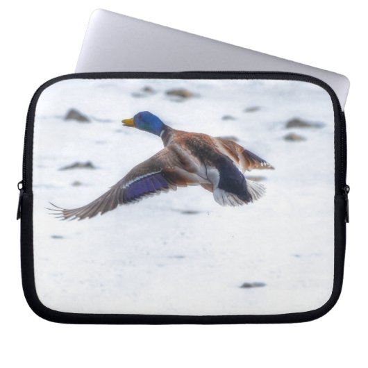 Flying Mallard Duck Drake 15 Wildlife Foto Laptopschutzhülle (Vorderseite)