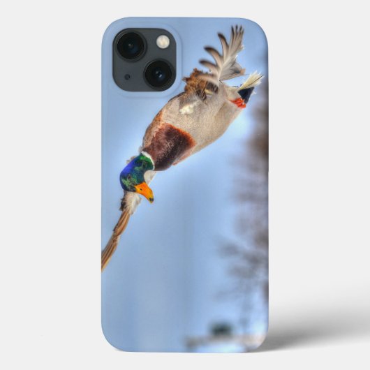 Flying Mallard Duck Drake 5 Wildlife Foto Case-Mate iPhone Hülle (Rückseite)