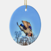 Flying Mallard Duck Drake Wildlife Foto Keramikornament (Rechts)