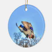 Flying Mallard Duck Drake Wildlife Foto Keramikornament (Links)