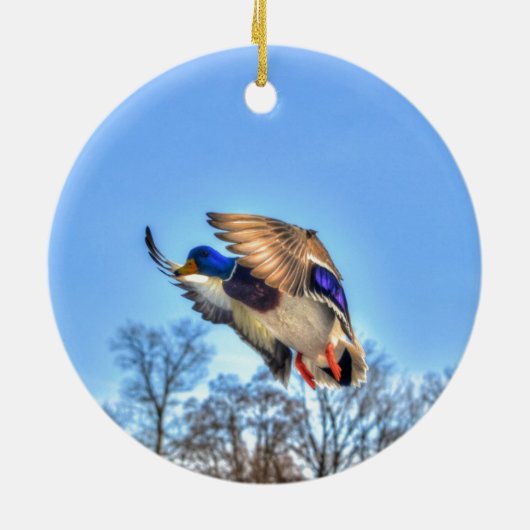 Flying Mallard Duck Drake Wildlife Foto Keramikornament (Hinten)