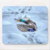Flying Mallard Duck Drake Wildlife Photo Mousepad (Vorne)