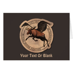 Flying Moose Aviation