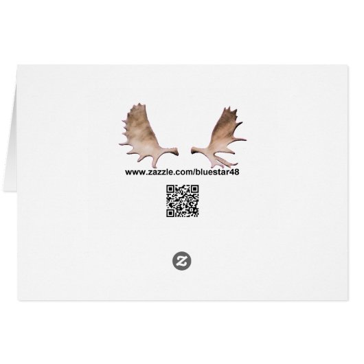 Flying Moose Aviation de Havilland DH3-C Otter (Rückseite Horizontal)