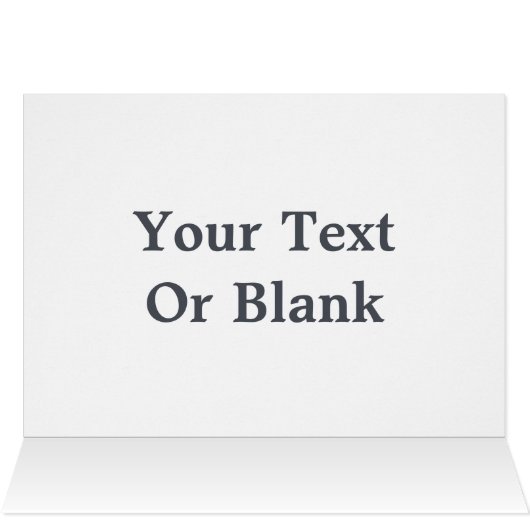 Flying Moose Aviation de Havilland DH3-C Otter (Innenansicht Horizontal (Oben))