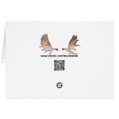 Flying Moose Aviation de Havilland DH3-C Otter (Rückseite Horizontal)