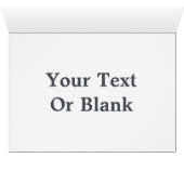 Flying Moose Aviation de Havilland DH3-C Otter (Innenansicht Horizontal (Unten))