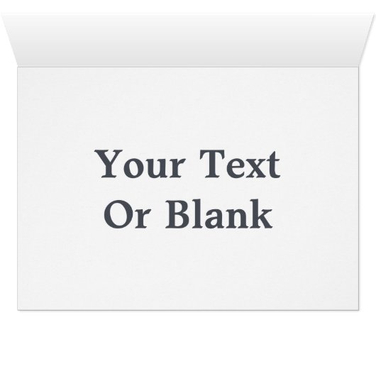 Flying Moose Aviation de Havilland DH3-C Otter (Innenansicht Horizontal (Unten))