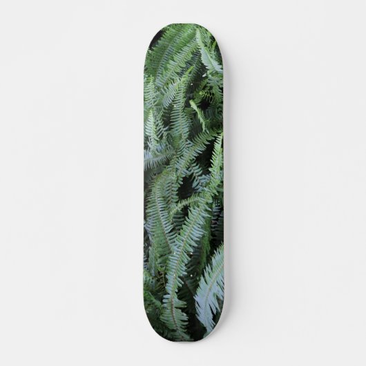 Flying on Ferns Skateboard (Vorne)