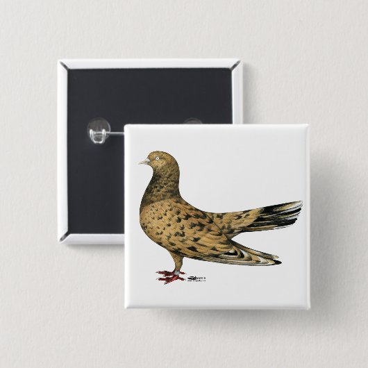 Flying Oriental Roller Pigeon Almond Button (Vorne & Hinten)