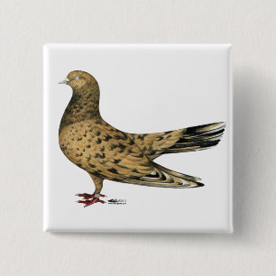 Flying Oriental Roller Pigeon Almond Button