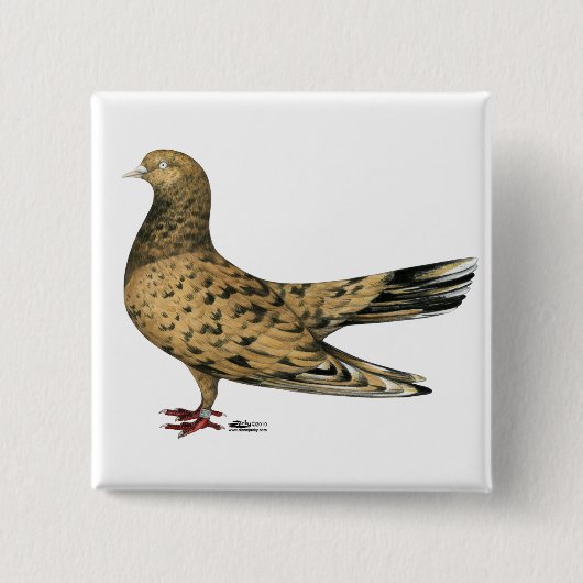 Flying Oriental Roller Pigeon Almond Button (Vorderseite)