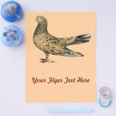 Flying Oriental Roller Pigeon Almond Flyer (Einzeln)