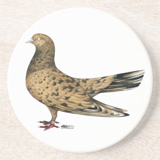 Flying Oriental Roller Pigeon Almond Untersetzer (Vorne)