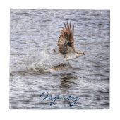 Flying Osprey & Fish HDR Wildlife Foto Geschenk Fliese (Vorderseite)