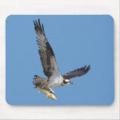 Flying Osprey & Fish Wildlife Fotogray Mousepad (Vorne)