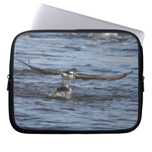 Flying Osprey Raptor Wildlife Sleeve (Vorderseite)