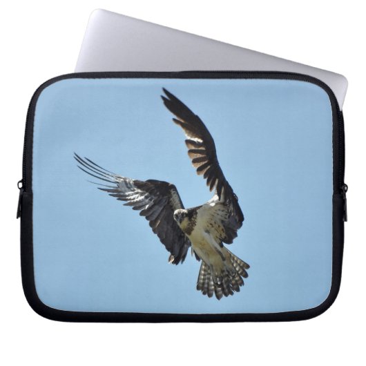 Flying Osprey Raptor Wildlife Sleeve (Vorderseite)