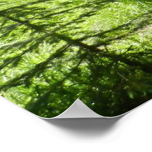 Flying Outhouse Poster (Ecke)