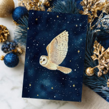 Flying Owl Starry Night Sky Weihnachten Wasserfarb