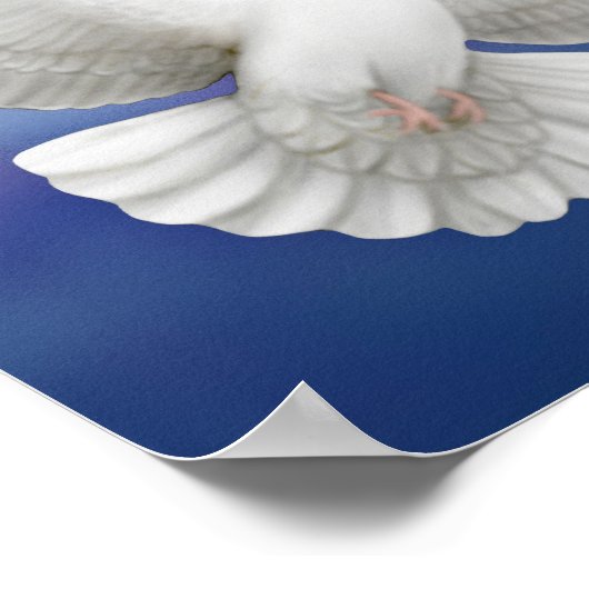 Flying Peace Dove Print Poster (Ecke)