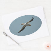 Flying Pelican 4-Aufkleber Ovaler Aufkleber (Umschlag)
