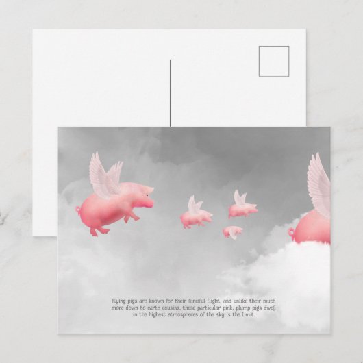Flying Pig Postkarte (Vorne/Hinten)