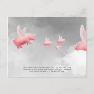 Flying Pig Postkarte