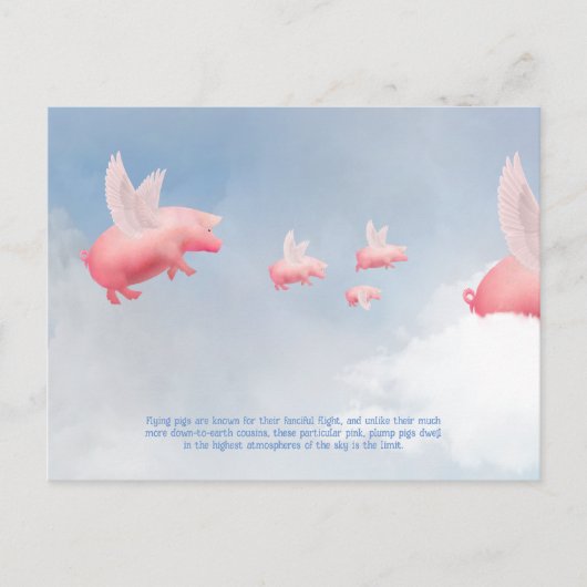 Flying Pig Postkarte (Vorderseite)