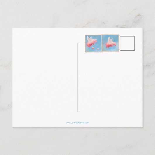 Flying Pig Postkarte (Rückseite)