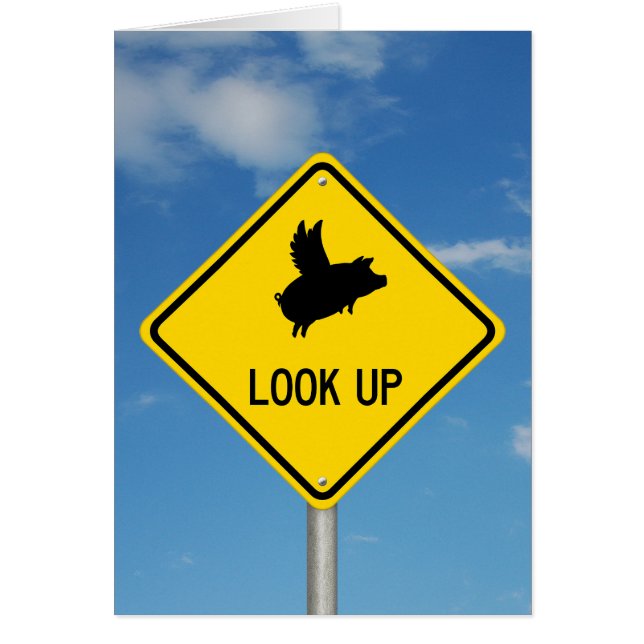 Flying Pig Road Sign (Vorne)