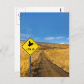 Flying Pig Road Sign Postkarte (Vorne/Hinten)