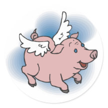Flying Pig