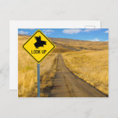 Flying Pig-Zeichen Postkarte (Vorne/Hinten)