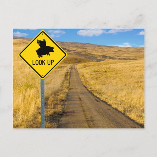 Flying Pig-Zeichen Postkarte (Vorderseite)