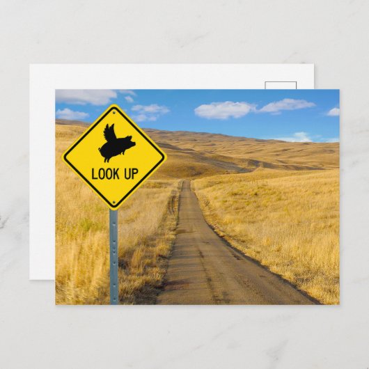 Flying Pig-Zeichen Postkarte (Vorne/Hinten)