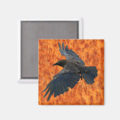 Flying Raven, Crow & Rustic Grunge Art Magnet (Vorderseite/Rückseite)