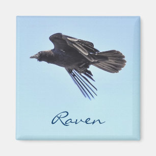 Flying Raven in Blue Sky HDR Foto Design Magnet