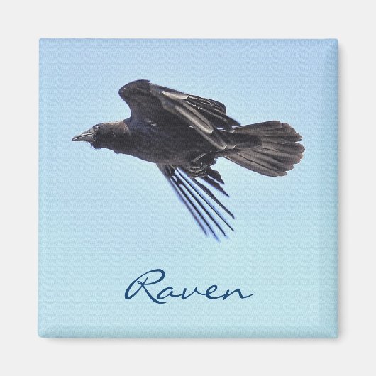Flying Raven in Blue Sky HDR Foto Design Magnet (Vorne)