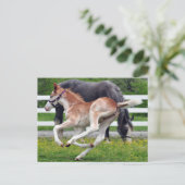 Flying Red Roan Colt Postkarte (Stehend Vorderseite)