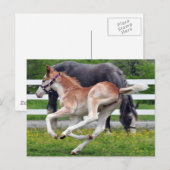 Flying Red Roan Colt Postkarte (Vorne/Hinten)