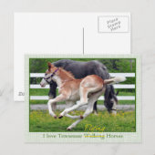 Flying Red Roan Postkarte (Vorne/Hinten)